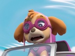 Replay Paw Patrol, la Pat'Patrouille - Galinetta pilote un avion