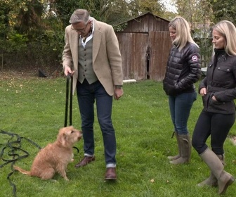 Replay Chiens hors de contrôle - un dresseur à la rescousse - S1 E2 - Promenade dangereuse