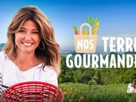 Replay Nos terres gourmandes - La moutarde de Charroux