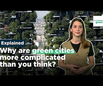 Replay Explication : Pourquoi la végétalisation des villes ne se résume pas à planter plus d'arbres