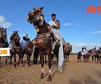 Replay Libye : la célébration des traditions équestres - ARTE Journal Junior de jeudi