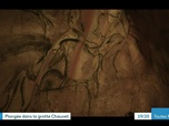 Replay Les dossiers d'ICI - DOSSIER – 30 ANS DÉCOUVERTE GROTTE CHAUVET