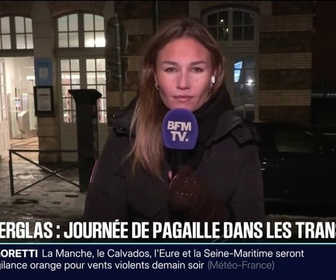 Replay 20H BFM - Comment les Franciliens se sont organisés alors que le réseau de transports en commun a été fortement perturbé par la neige et le verglas