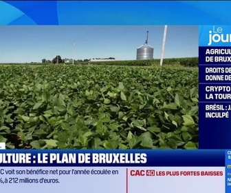 Replay Good Morning Business - Agriculture: Bruxelles veut des mesures plus strictes pour les importations... au détriment des exportations?