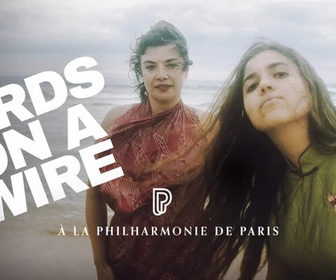 Replay Birds on a Wire - Le Chant des oiseaux