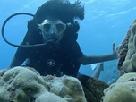 Replay ARTE JUNIOR Le magazine - Portrait d'enfant : Fatima aux Maldives