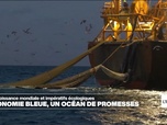 Replay Info éco - Économie bleue : une croissance en eaux troubles