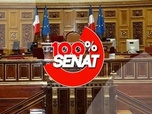 Replay 100% Sénat - Guerre commerciale : quel impact sur les entreprises françaises ?