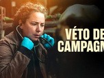 Replay Véto de campagne