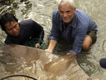 Replay River monsters - S2E1 - La raie de la mort