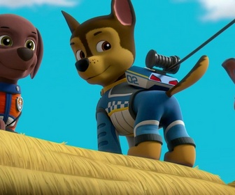 Replay Paw Patrol, la Pat'Patrouille - La Grande Course