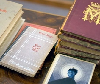 Replay Les nazis au pouvoir - Les livres que Hitler n'a pas brûlés