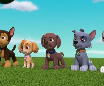 Replay Paw Patrol, la Pat'Patrouille - Galinetta pilote un avion