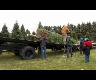 Replay Sapin de Noël de la Maison Blanche : un sapin du Michigan remporte le concours national