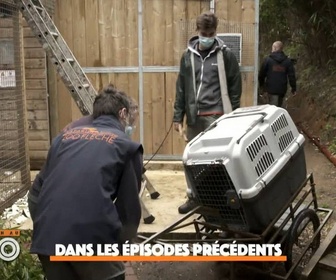 Replay Une saison au zoo - S13 E47