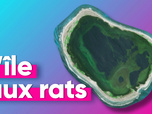 Replay Top Info - Rats, cocaïne et sable fin : l'étonnante île française de Clipperton