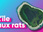 Replay Top Info