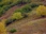 Replay Habitations en péril : le ranch des Raney