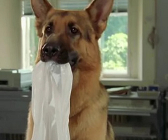 Replay Rex, chien flic - Frères jumeaux