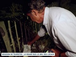 Replay Un jour, un doc week-end - Invasion de touristes : le grand ras-le-bol des locaux(1/2)