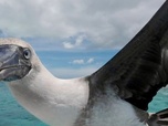 Replay Kiribati - Les joyaux du Pacifique Sud