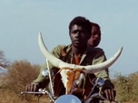 Replay Blow up - Vous vous souvenez de la Quinzaine 1973 ?