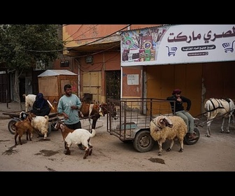 Replay Sous les tentes à Gaza, les déplacés vivent un Aïd sans fête ni sacrifice