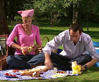 Replay Un gars, une fille - S3E26 - Pique-niquent