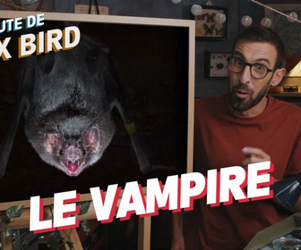Replay La minute de Max Bird - Le Vampire