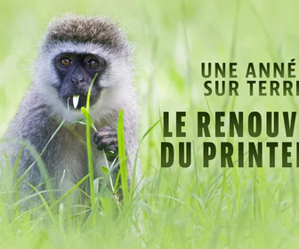 Replay Une année sur terre - 19/05/2026