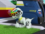 Replay Paw Patrol, la Pat'Patrouille - La Fête avec les Chauves-Souris
