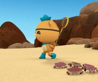 Replay Les Octonauts et les crabes rouges