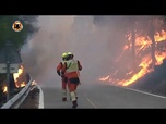 Replay Un vaste incendie dans la région de Valence ravage 690 hectares après l'été le plus chaud d'Espagne