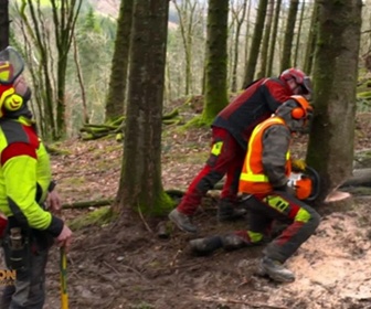 Replay Bûcheron, un métier à hauts risques - Bûcherons de haut vol