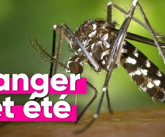 Replay Top Info - L'épidémie de Chikungunya frappe la Réunion, peut-elle arriver en métropole ?
