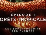 Replay Les superpouvoirs des plantes - 02/03/2026