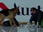 Replay Rex, chien flic