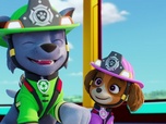 Replay Paw Patrol, la Pat'Patrouille - Mission Pompiers : Les guim-o-choco de M. Hellinger