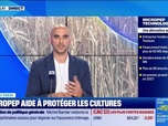 Replay Good Morning Business - French Tech : Micropep aide à protéger les cultures - 02/10