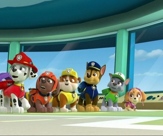 Replay Paw Patrol, la Pat'Patrouille - La pat'patrouille se jette à l'eau