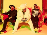 Replay Summer Breeze 2026 - Skindred