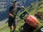 Replay La fenaison en montagne, une tradition suisse - GEO Reportage