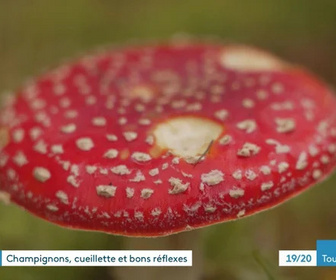 Replay Les dossiers d'ICI - 04/11/2025