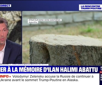Replay BFM Story - Story 1 : L'olivier à la mémoire d'Ilan Halimi abattu - 15/08
