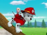 Replay Paw Patrol, la Pat'Patrouille - Le collier porte-bonheur