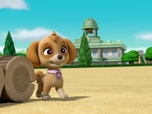 Replay Paw Patrol, la Pat'Patrouille - Yoga à la ferme