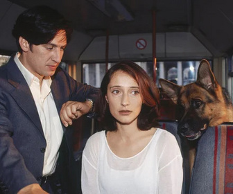 Replay Rex, chien flic - 27/07/2026