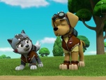 Replay Paw Patrol, la Pat'Patrouille - La Moto Patrouille : Les donuts de Monsieur Porter