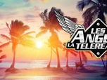 Replay Les anges de la téléréalité - S11 E52