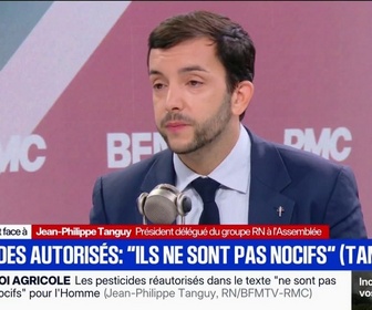 Replay Face à Face - Pesticides: Jean-Philippe Tanguy (RN) dénonce un gouvernement de gros lâches